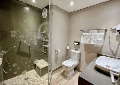 Deluxe walk-in shower